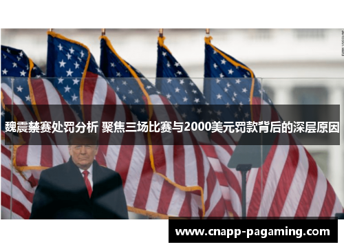 魏震禁赛处罚分析 聚焦三场比赛与2000美元罚款背后的深层原因