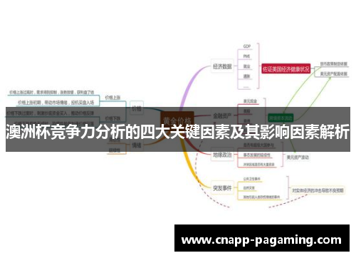 澳洲杯竞争力分析的四大关键因素及其影响因素解析