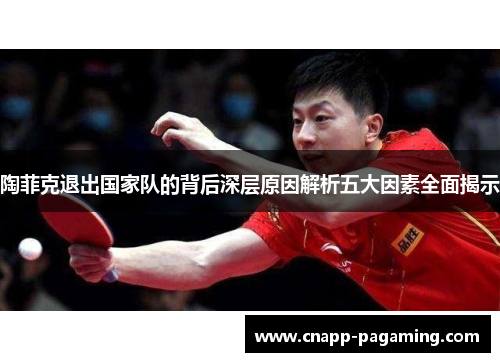 陶菲克退出国家队的背后深层原因解析五大因素全面揭示
