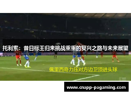 托利索：昔日标王归来挑战重重的复兴之路与未来展望