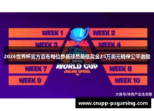2026世界杯官方宣布每位参赛球员最低奖金25万美元确保公平激励