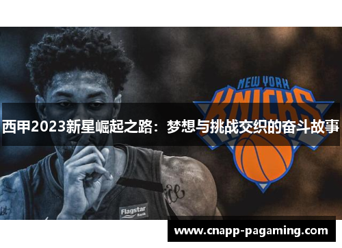 西甲2023新星崛起之路：梦想与挑战交织的奋斗故事