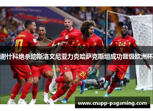 谢什科绝杀助斯洛文尼亚力克哈萨克斯坦成功晋级欧洲杯