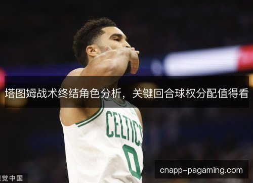 塔图姆战术终结角色分析，关键回合球权分配值得看